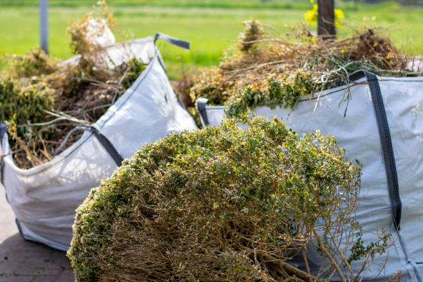 Demolition Debris Removal in Huachuca City, AZ